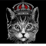 Cats kingdome