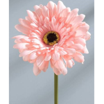 Flower-fans