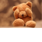 .* ~Ｔｅｄｄｙ Ｂｅａｒｓ!~ *.