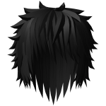 Black Messy Hair