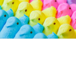 Ello bunny peeps