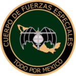 C.F.E.M.