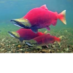 Carson_Gaming2010