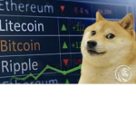 le epix the doge mans group