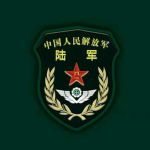 PLAGF 8th :| 8th Synthetic Brigade