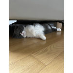 ky에 그룹