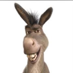 Donkey Tribe