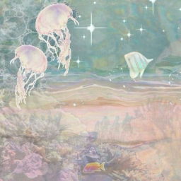 🫧