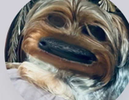 Kreecraft Roblox group icon
