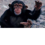 Monke Family