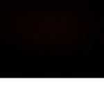 신테일 팬그룹
