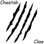Cheetah Claw Studios