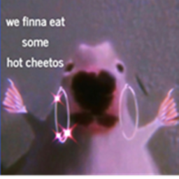 (BETA) Rat City