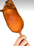 whixy