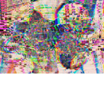 redekbo