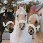 Horse riders sets