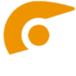 Synister Development