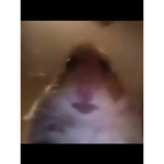 Kylderwq
