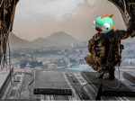 The fishy military