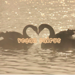 vegan fairys
