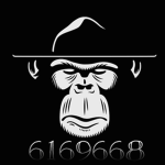 DH Monkeyzz
