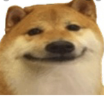 dogs :)))