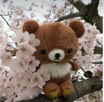 Teddy bears are cutee