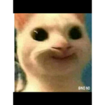 jeje_gruop