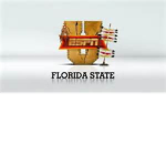florida state group