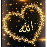 السيدة حلا