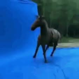 Sonic's Obby