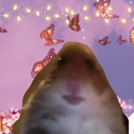 Ducky_forever<3