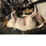 Bffs for all life