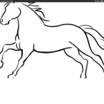 Hallow horse club