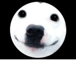 Henlo friends or potatos