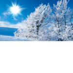 Winter fans :D
