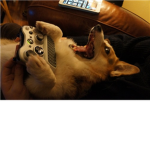 Club Derp