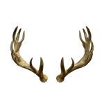 Golden Deer Antlers