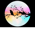 Raven's Room