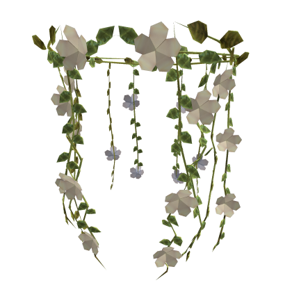White Falling Blooming Flowers Of A Druid