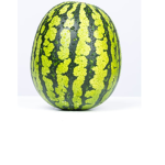 The lil melon nation