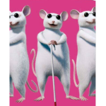 The Cool Rat Club