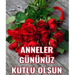 Kelebekler gelsin