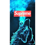 TheSaberWolves