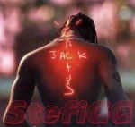 Stefigg Group Thumbnail