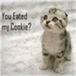 You Eated My Cookie Stuidos