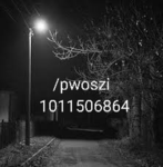 pwoszi