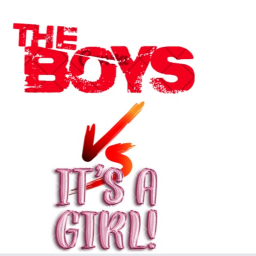 Boys vs Girls sword battles