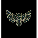 Owl Team!