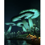 The mady mushroom
